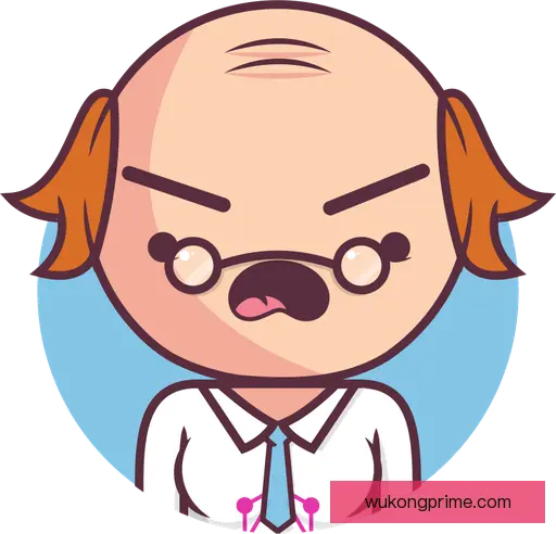 苗锦珺